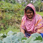 Microfinance